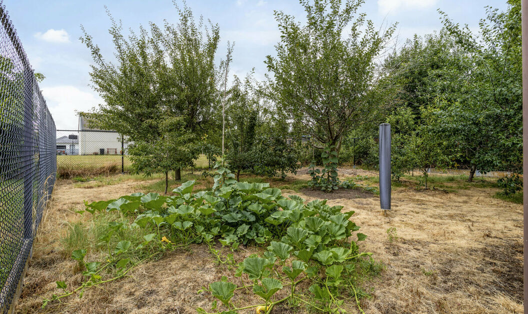 Buitengewoon huis te koop in Buggenhout